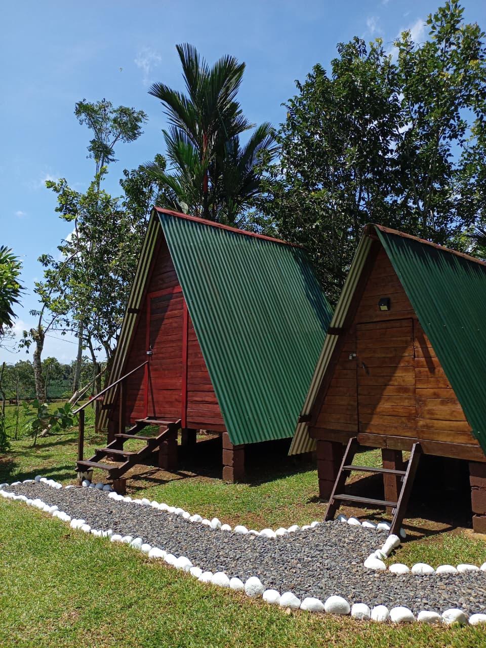 Cabinas y Camping Nómada Verde
